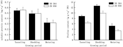 Changes in nitrogen metabolism and antioxidant enzyme activities of maize tassel in black soils region of northeast China